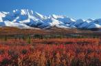 As incríveis cores e a belíssima paisagem do Denali National Park, no Alaska